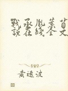 战承胤叶苜苜小说在线全文阅读