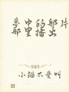 梦中的那片海在哪里播出