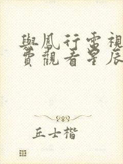 与凤行电视剧免费观看星辰影院