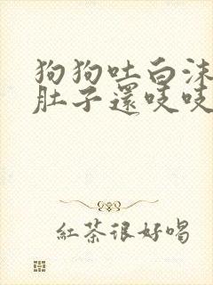 狗狗吐白沫黏液肚子还吱吱响不拉稀怎么治疗