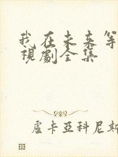 我在未来等你电视剧全集