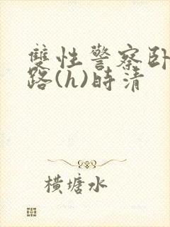 双性警察卧底之路(h)时清