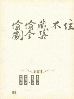 偷偷藏不住广播剧全集