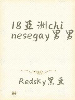 18亚洲chinesegay男男1069
