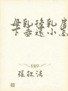 母乳后乳房干瘪下垂还小怎么办封面