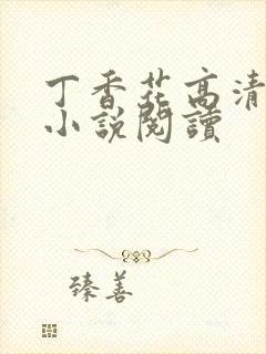 丁香花高清在线小说阅读