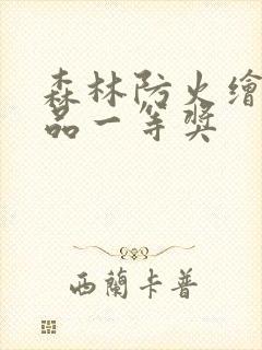 森林防火绘画作品一等奖封面