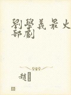 刘学义最火的一部剧