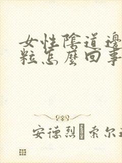 女性阴道边起颗粒怎么回事啊