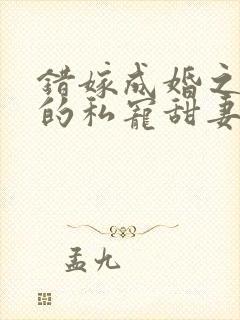 错嫁成婚之总裁的私宠甜妻完整版封面