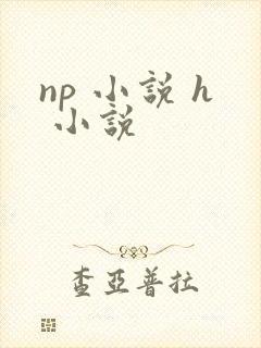 np 小说 h 小说