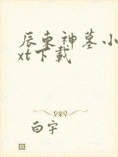 辰东神墓小说txt下载封面