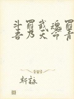 斗罗武魂罗三炮吾乃天命青龙