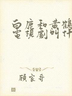 白鹿和黄鹤棣的电视剧叫什么