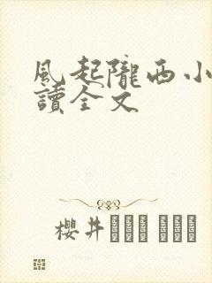 风起陇西小说阅读全文