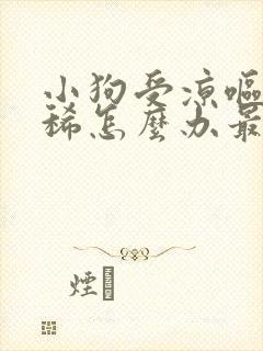 小狗受凉呕吐拉稀怎么办最快最有效的