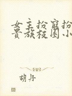 女主扮穷扮丑的贵族校园小说