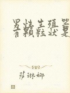 男性生殖器龟头有颗粒状是什么