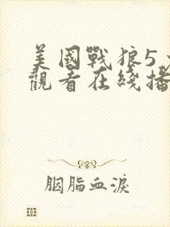 美国战狼5免费观看在线播放完整版