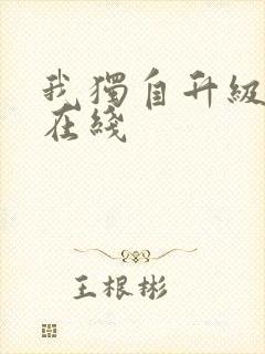 我独自升级小说在线