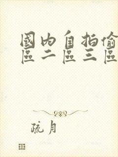 国内自拍偷拍一区二区三区