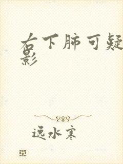 右下肺可疑结节影封面