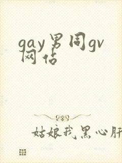 gay男同gv网站