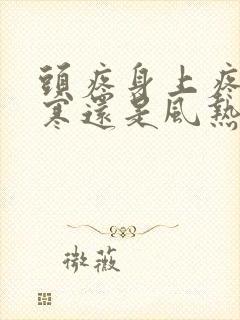 头疼身上疼是风寒还是风热感冒