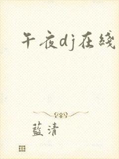 午夜dj在线