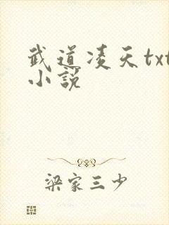 武道凌天txt小说