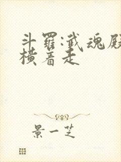 斗罗:武魂殿我横着走