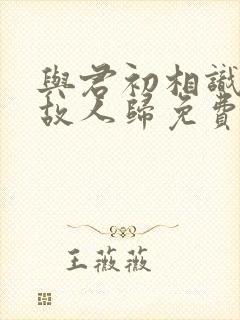 与君初相识恰似故人归免费观看完整