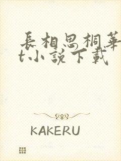 长相思桐华txt小说下载封面