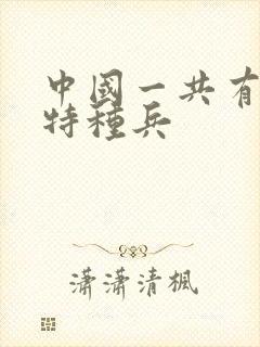 中国一共有多少特种兵