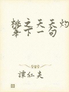 桃之夭夭灼灼其华下一句封面