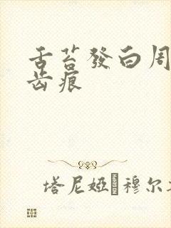 舌苔发白周围有齿痕