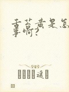 舌苔黄是怎么回事啊?