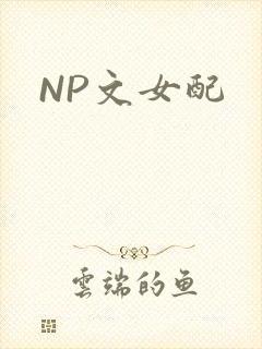 NP文女配