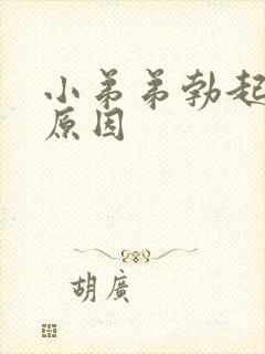 小弟弟勃起不坚原因