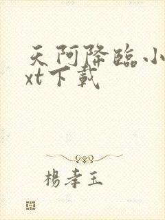 天阿降临小说txt下载