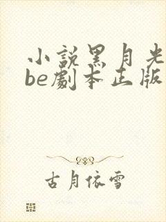 小说黑月光拿稳be剧本正版免费