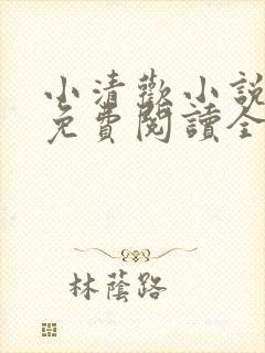 小清欢小说全文免费阅读全文