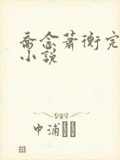 乔念萧衡完结版小说