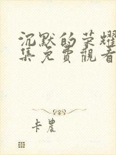 沉默的荣耀35集免费观看