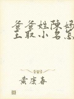 爸爸姓陈妈妈姓王取小名怎么取封面