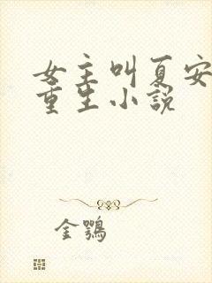 女主叫夏安安的重生小说