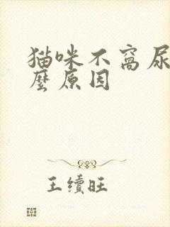 猫咪不窝尿是什么原因