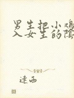 男生把小鸡鸡插入女生的阴道里