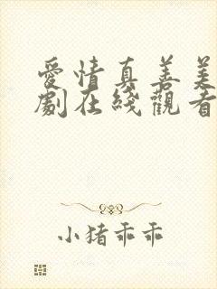 爱情真善美电视剧在线观看