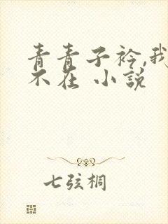 青青子衿,我心不在 小说